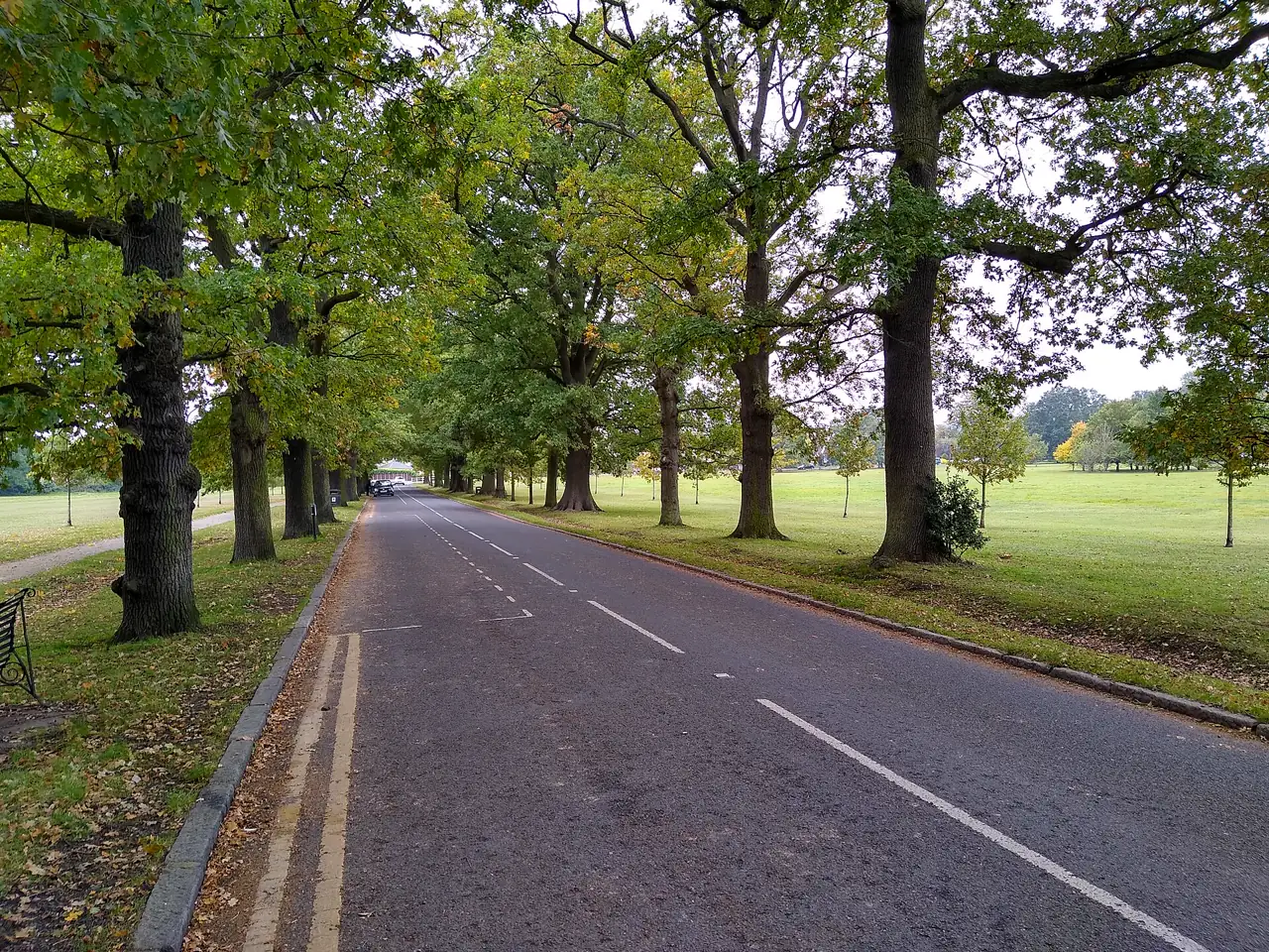 Loughton Lane in Theydon Bois lined with trees
