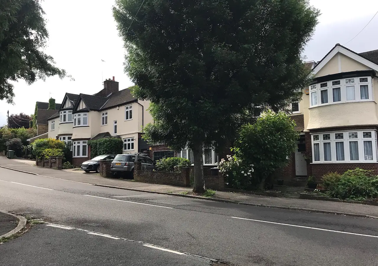 Tree-lined residential road in Woodford Green